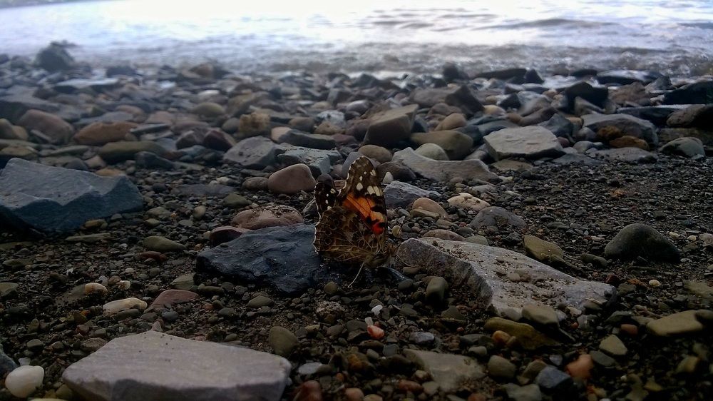 Photograph by Жанна