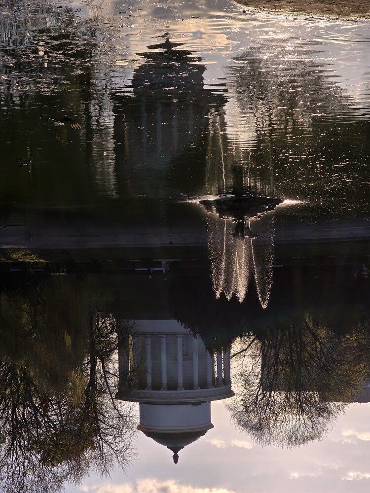 Photograph by Paulina Michałowska