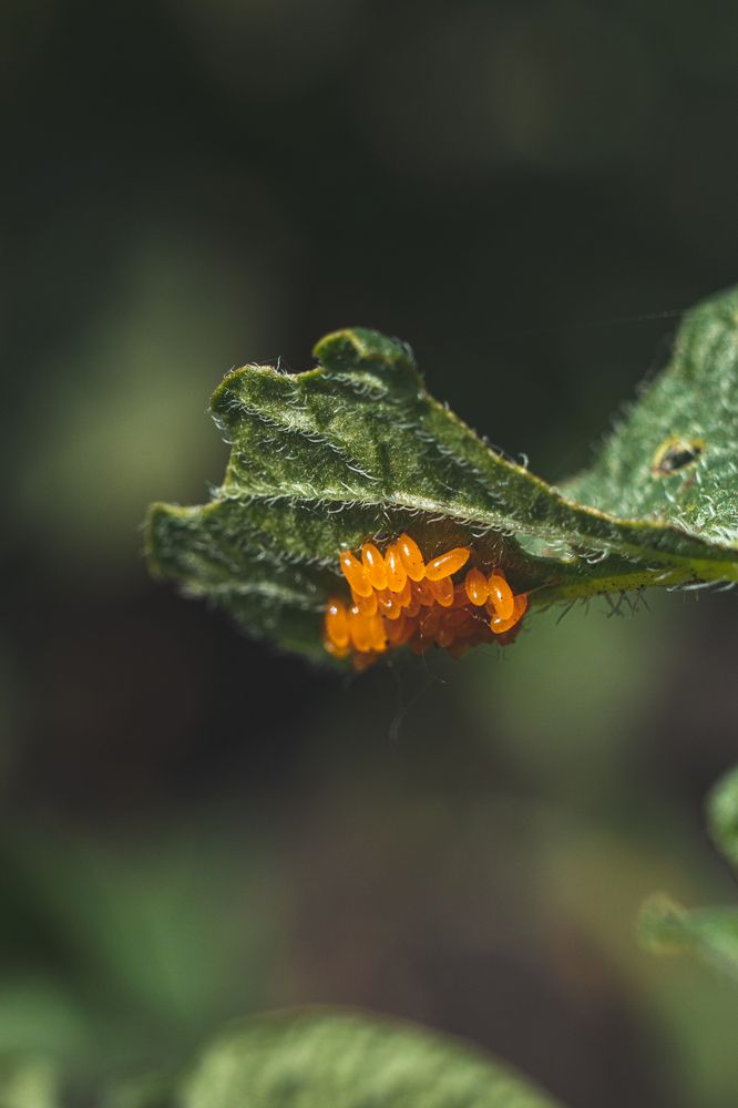 Фотография автора Алексей Медведев
