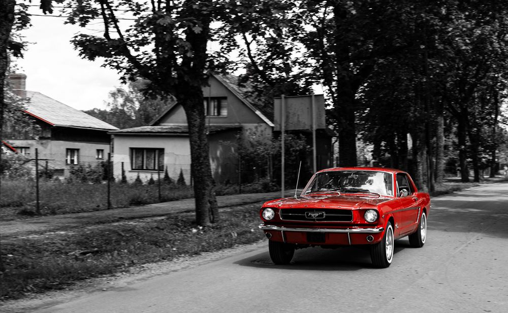 Photograph by Саша Зугров