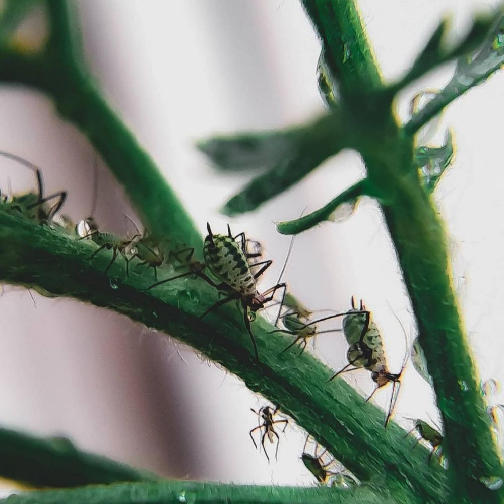 Фотография автора Марина Алексеевская