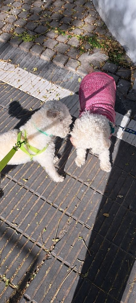 Фотография автора gustavo pecelis