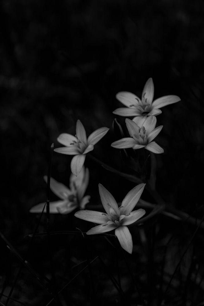 Photograph by Михаил Косолапов