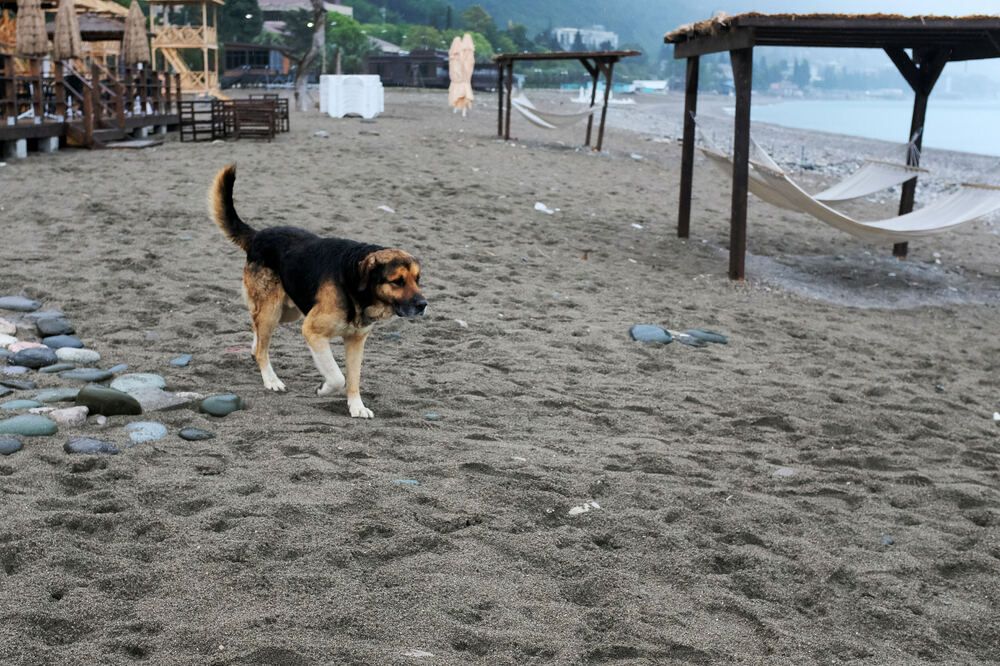 Фотография автора Олег Гумеров