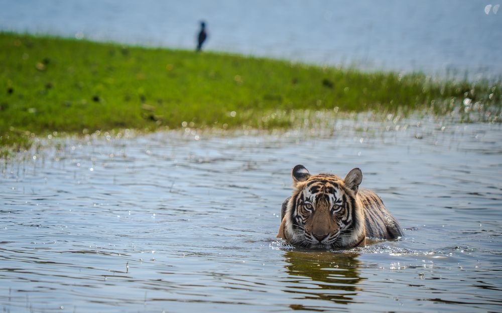 Photograph by Chaitanya Panday