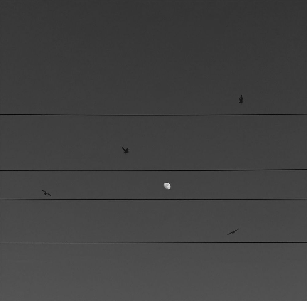 Photograph by علی اصغر آهنگری