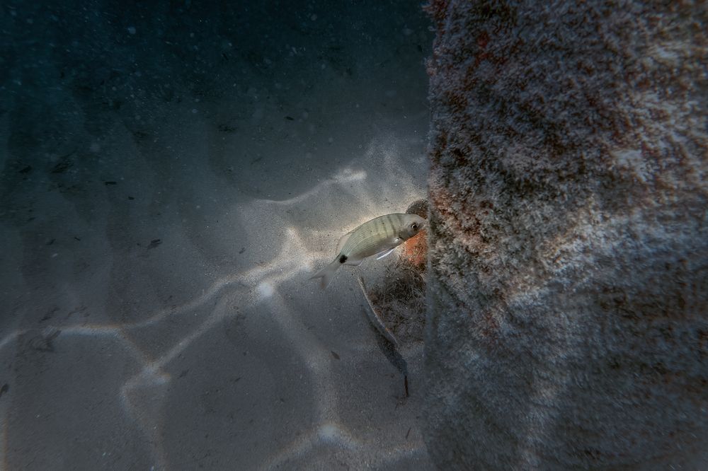 Photograph by Aleksandr Solovev