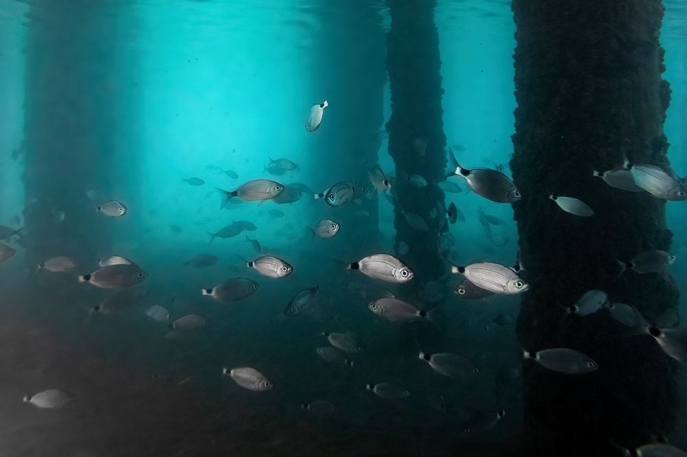 Photograph by Aleksandr Solovev