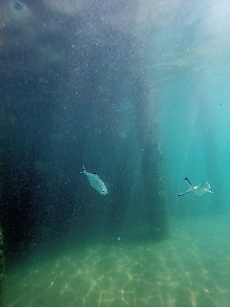 Photograph by Aleksandr Solovev