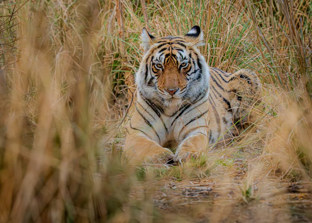 Photograph by Chaitanya Panday