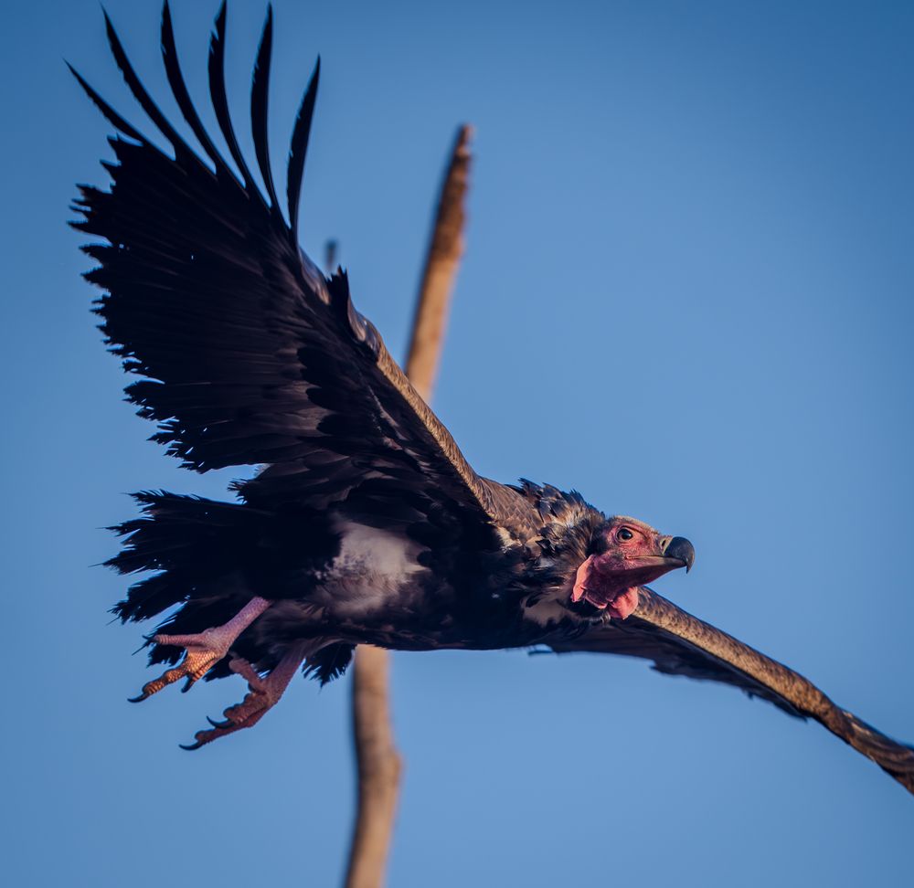 Photograph by Chaitanya Panday
