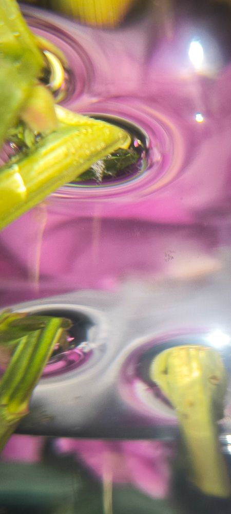 Photograph by Ольга Смолина