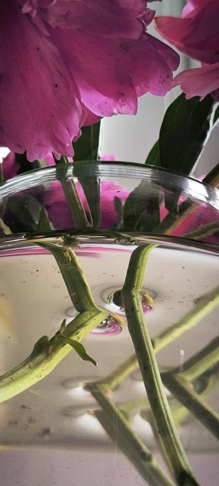 Photograph by Ольга Смолина