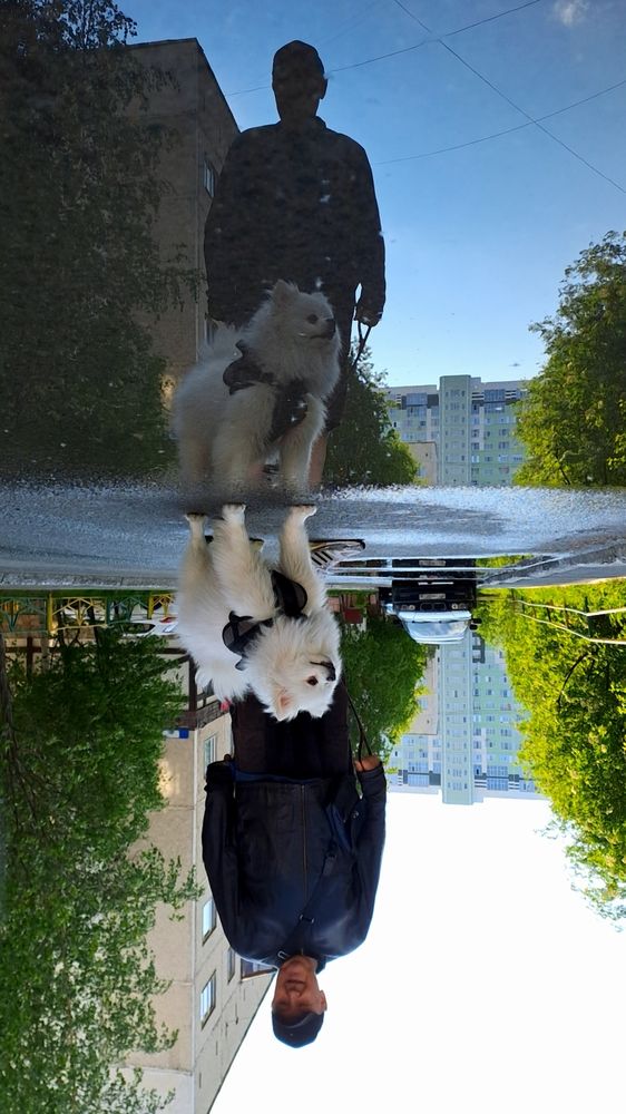 На прогулке