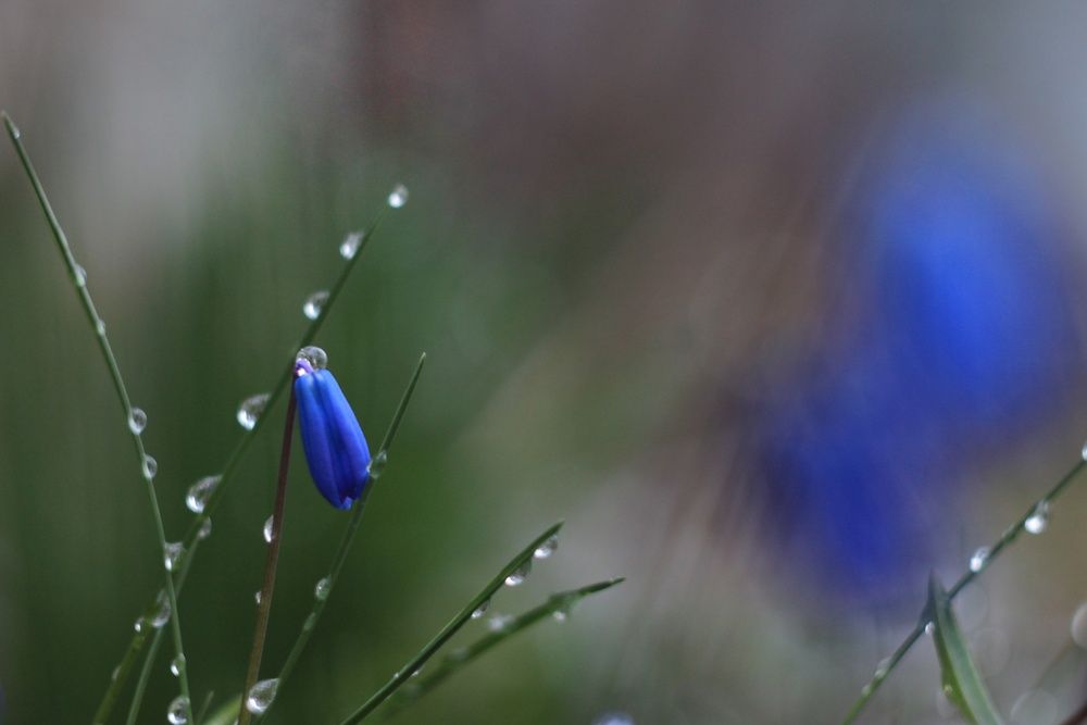 Photograph by Инна Карасева