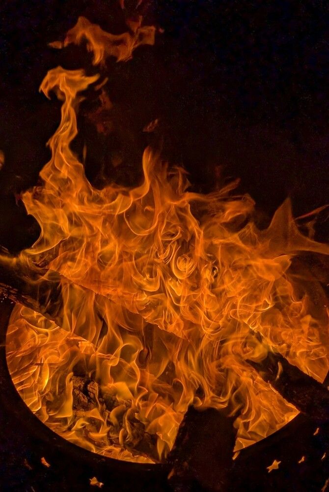 Фотография автора Елизавета