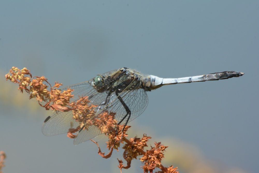 Photograph by Gülşen  Mutlu