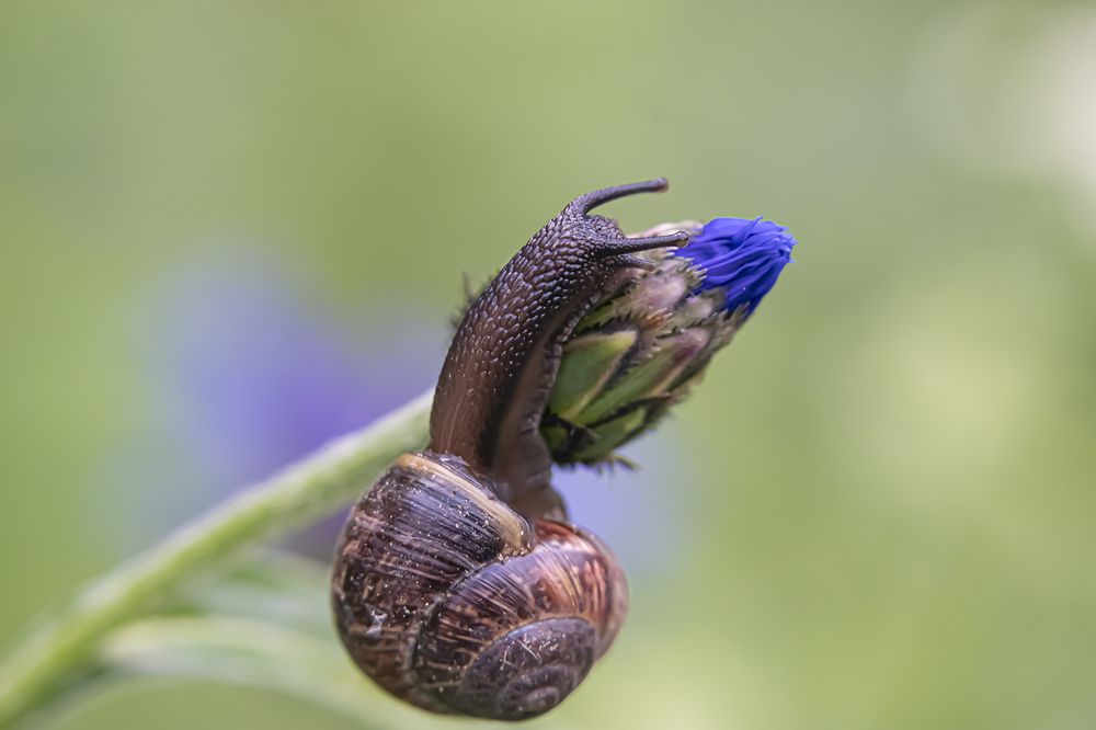 Photograph by Бурикова Екатерина