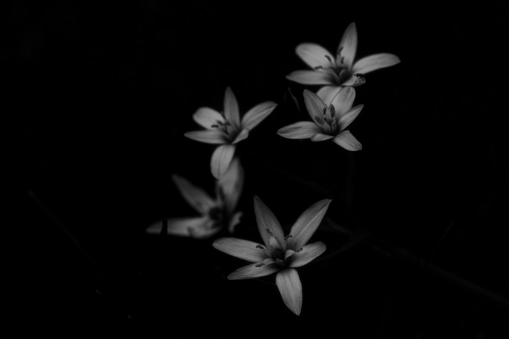 Photograph by Михаил Косолапов