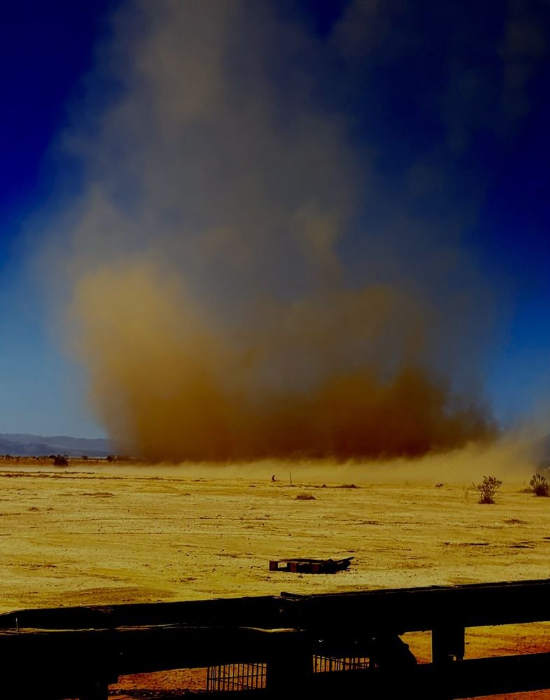 Photo #12266537