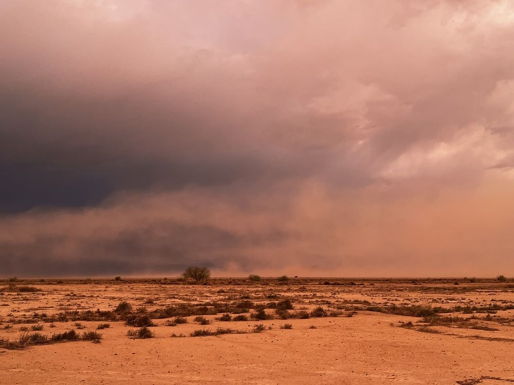 Desert doom