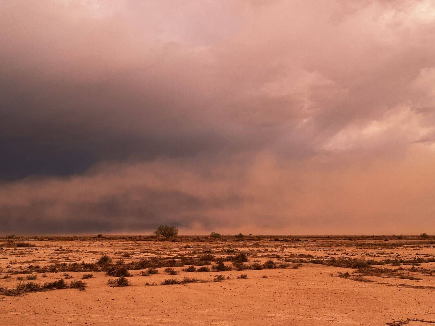 Desert doom