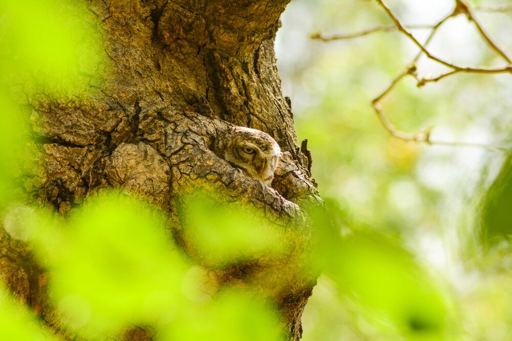 Photograph by Bilal Ahmad Khaki