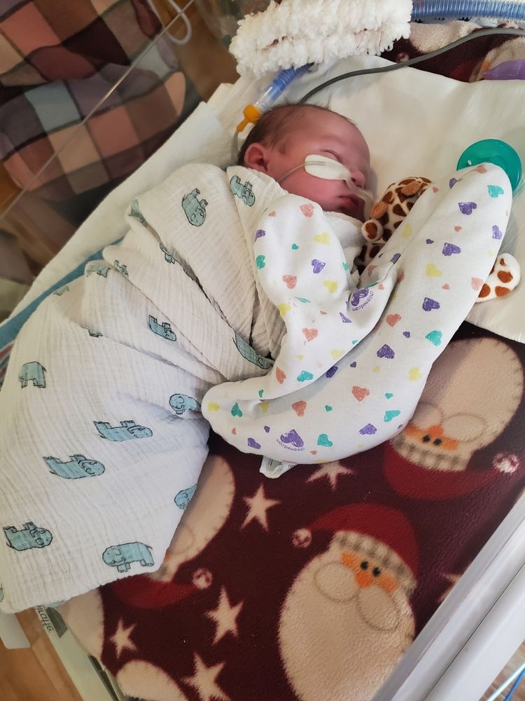 Маленький гусар