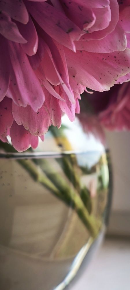 Photograph by Ольга Смолина