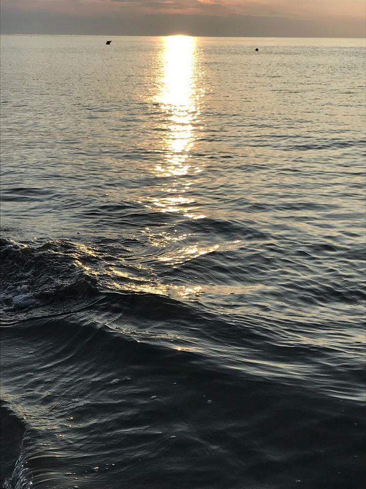 Photograph by Eugenia Schmidt