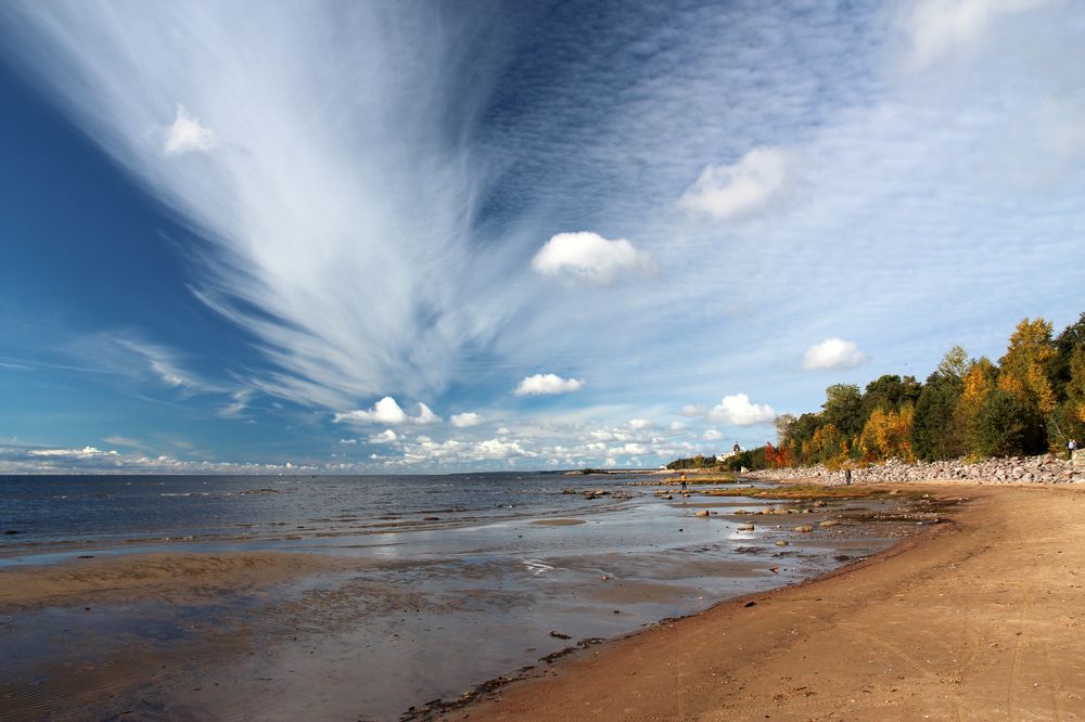 Финский залив