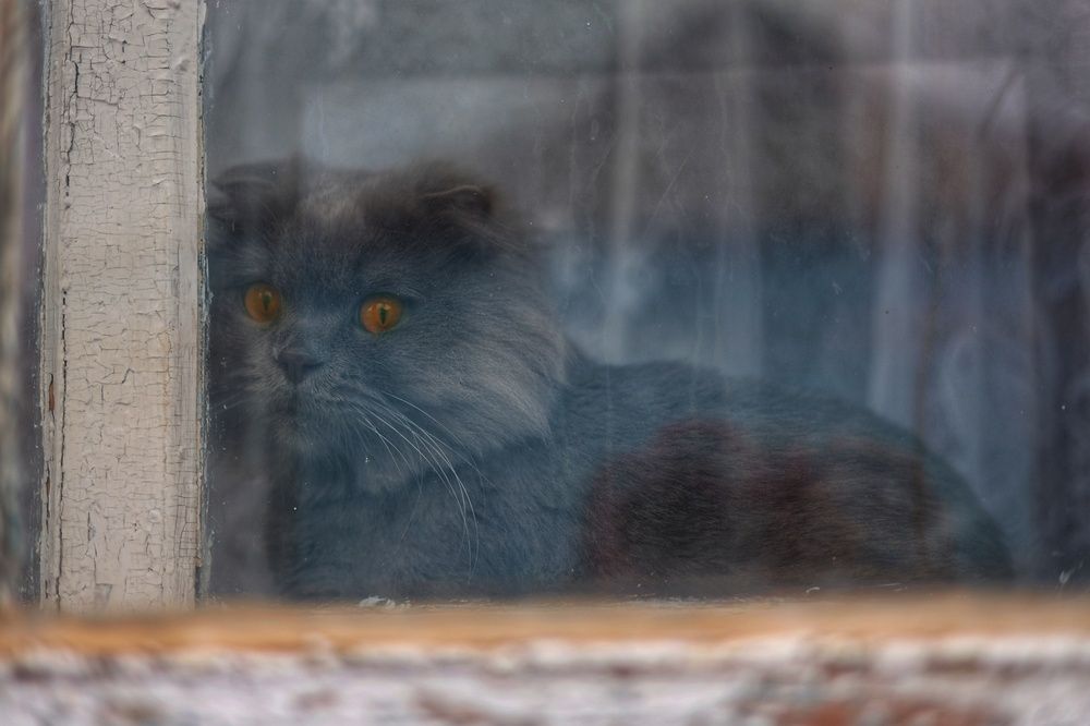 Photograph by Olga Nevedrova