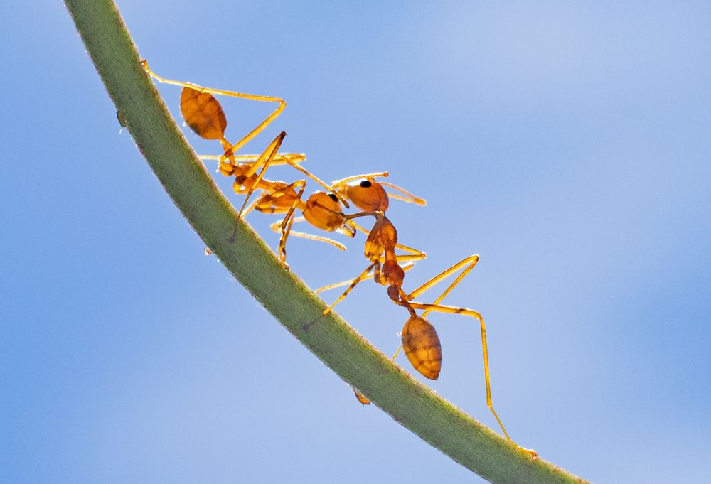 Photograph by Wayantha Sandaruwan