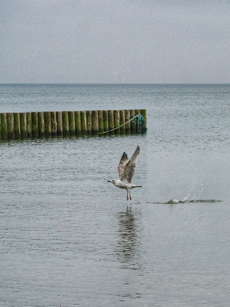 Photograph by Ольга Вороная