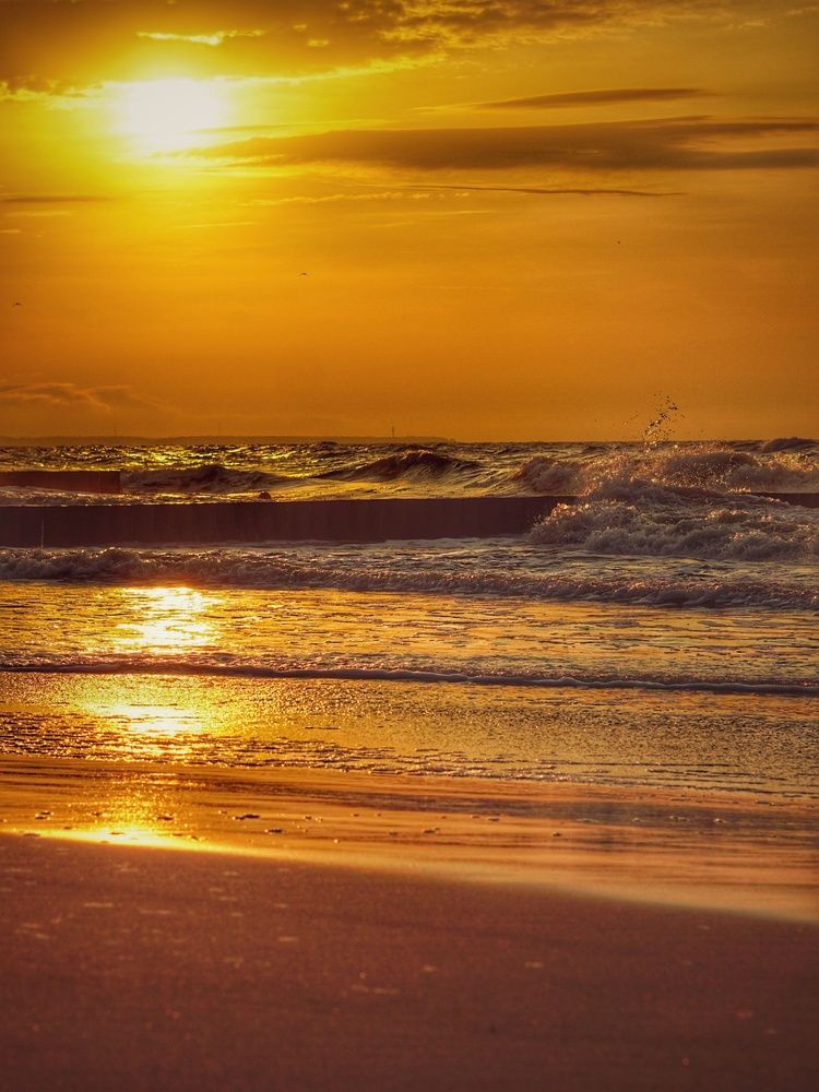 Photograph by Ольга Вороная