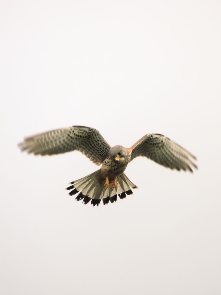 Photograph by Игорь Сухаревич