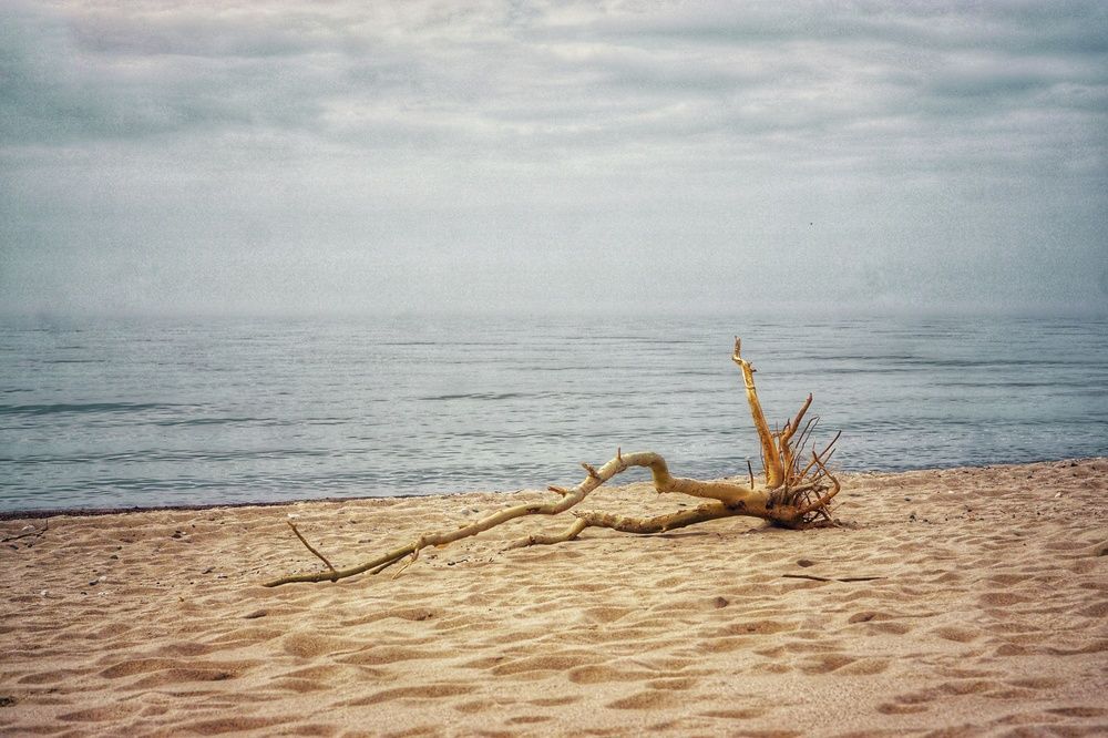 Photograph by Ольга Вороная