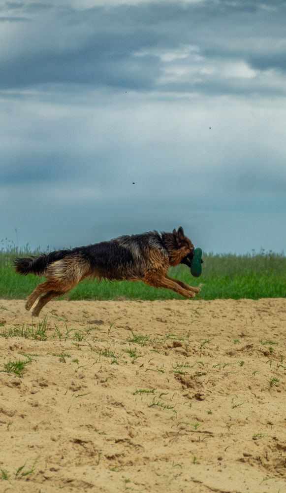 Фотография автора Геннадий Ломеко