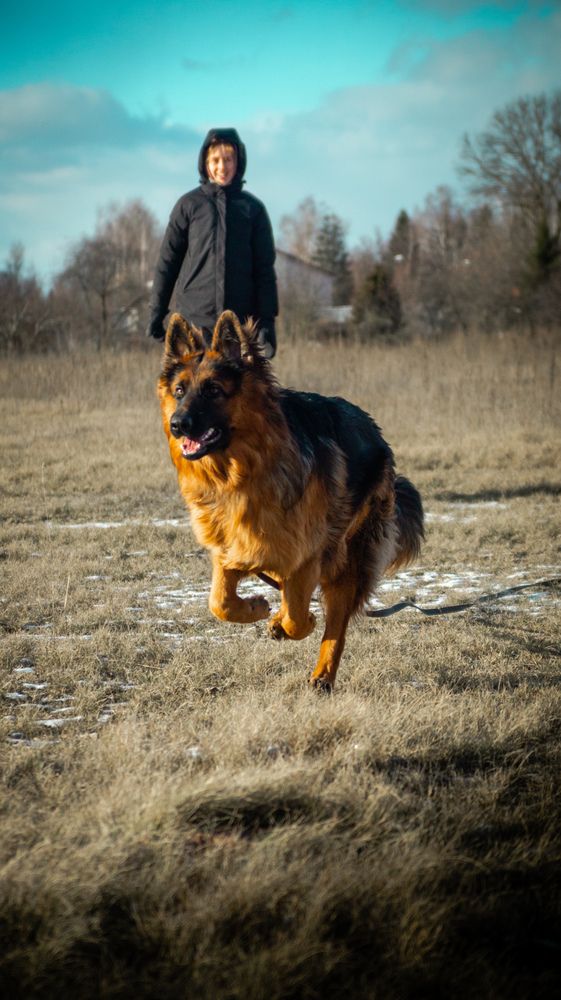 Фотография автора Геннадий Ломеко
