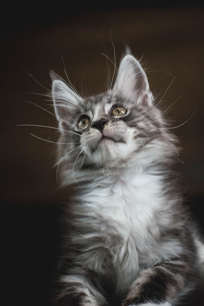 Photograph by Екатерина Медведева