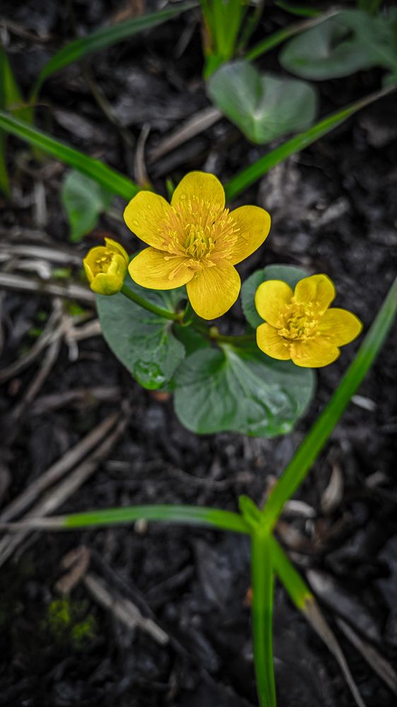 Photograph by Светлана