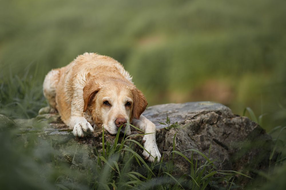 Photograph by Мария Шерскова