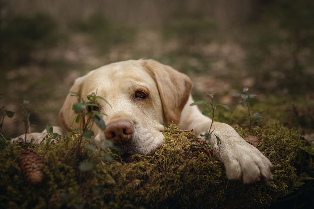Photograph by Шерскова Мария
