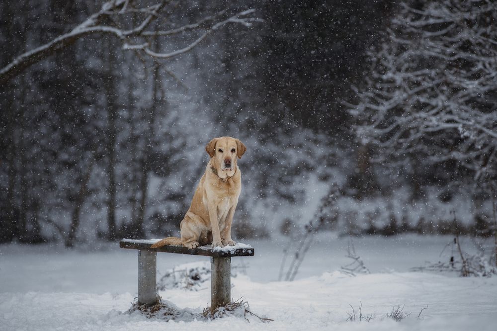 Photograph by Шерскова Мария