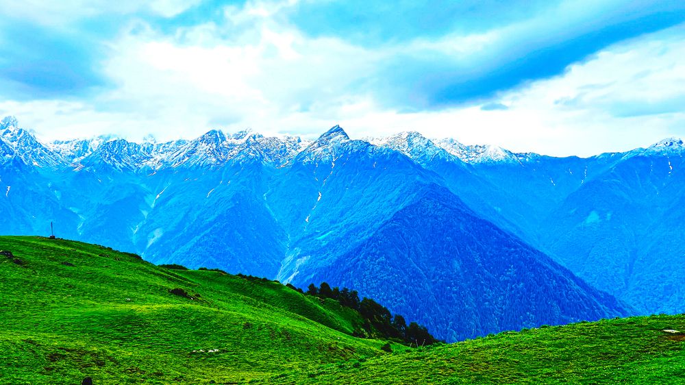 \"Himalayan Horizon: A View from the High Meadows\"