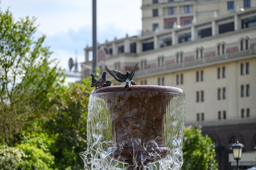 Photograph by Виктор Тюрин