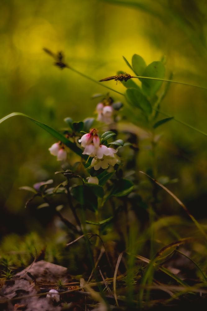 Photograph by Дмитрий Селицкий