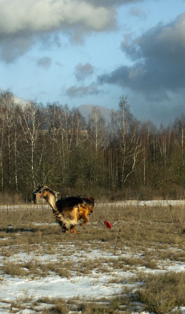 Фотография автора Геннадий Ломеко