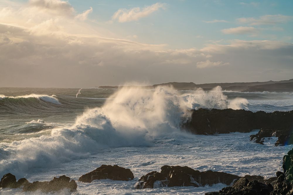 Photograph by Jelena Murina