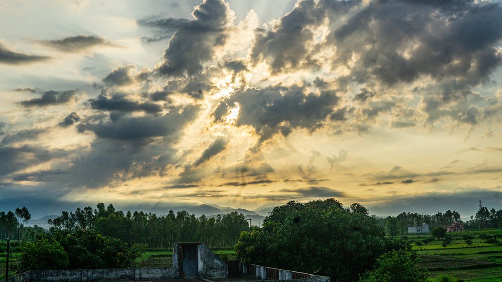 Фотография автора savitri Rawat